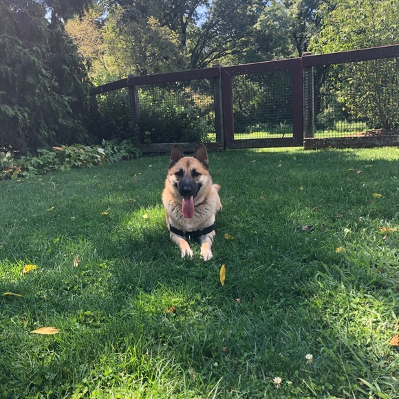 Meet your Posher, Caitlin - Picture 1 of 1